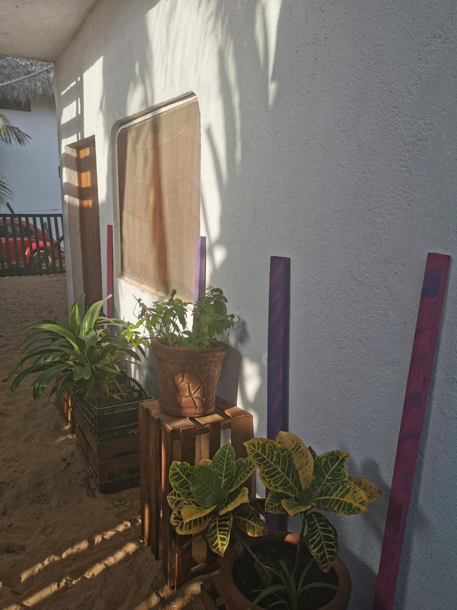 Hotel La Maxima & Lgbt Zipolite Pokój zdjęcie