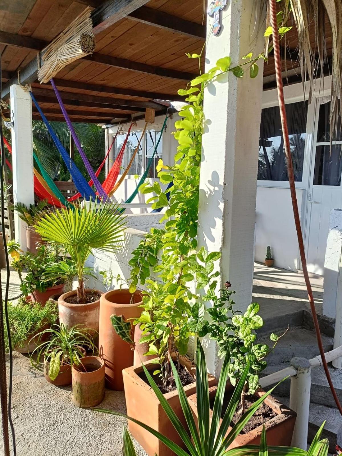 Hotel La Maxima & Lgbt Zipolite Zewnętrze zdjęcie