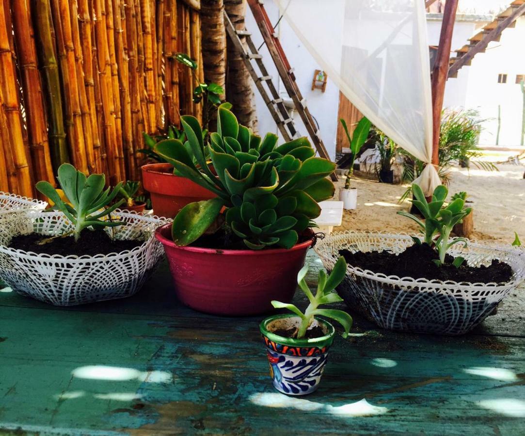 Hotel La Maxima & Lgbt Zipolite Zewnętrze zdjęcie
