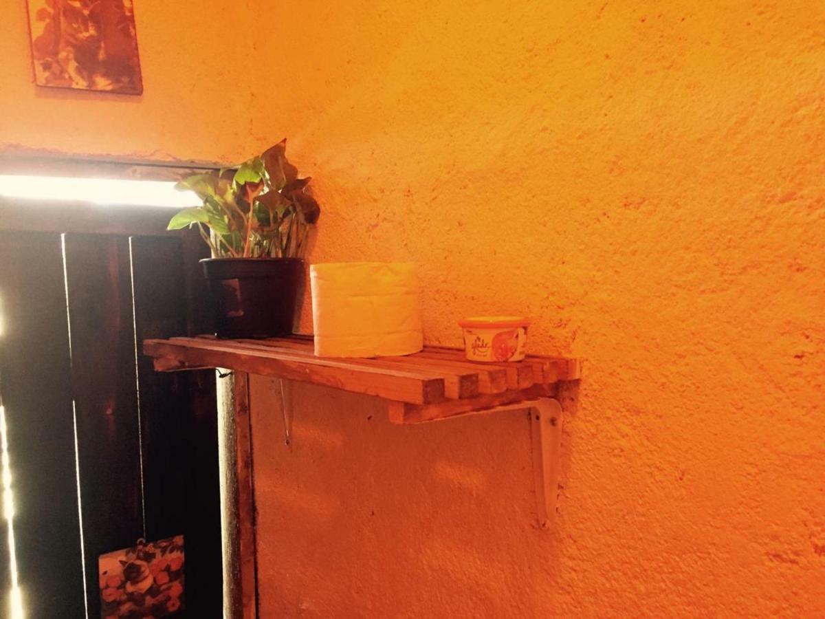 Hotel La Maxima & Lgbt Zipolite Zewnętrze zdjęcie